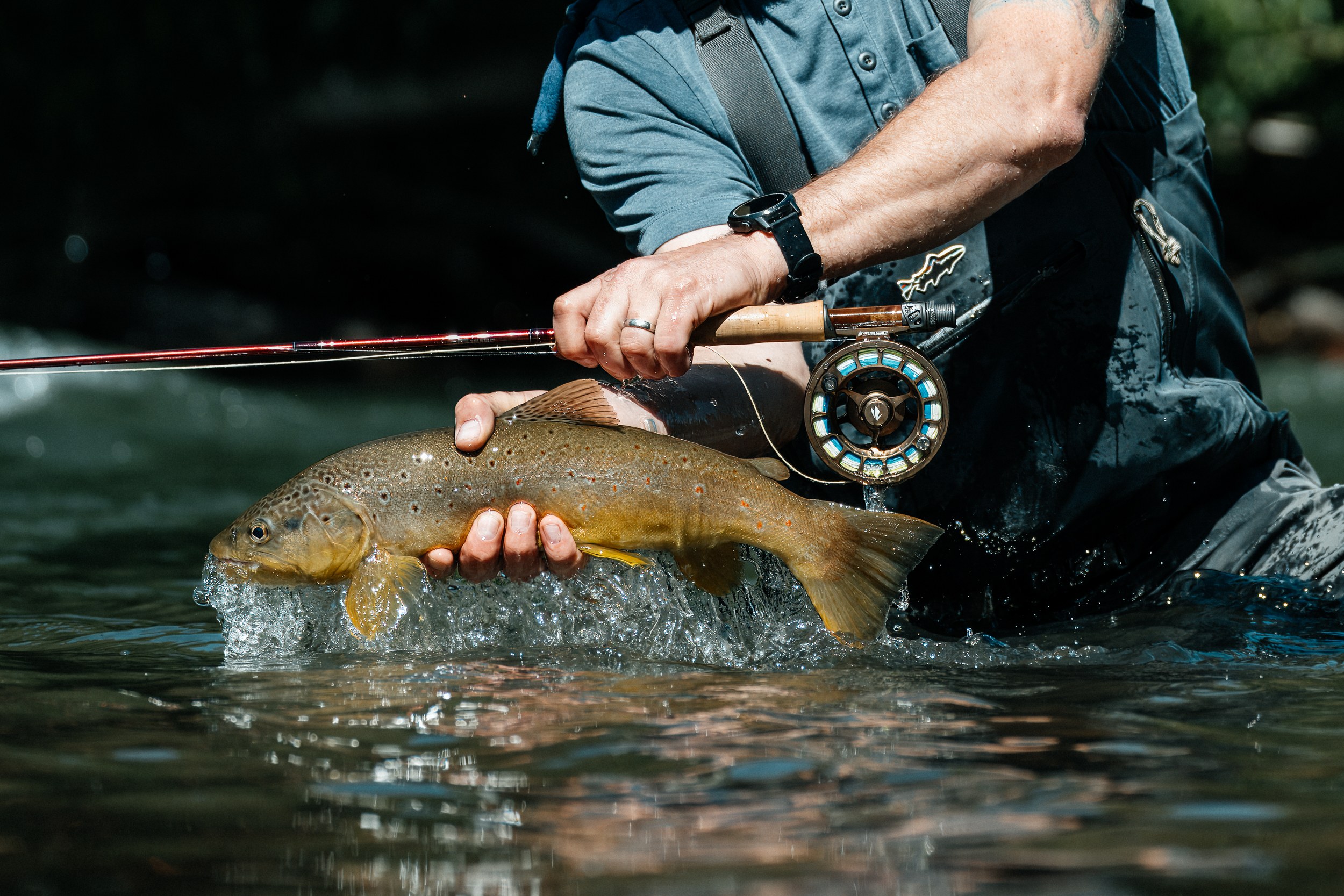 Fishing Rio Simpson